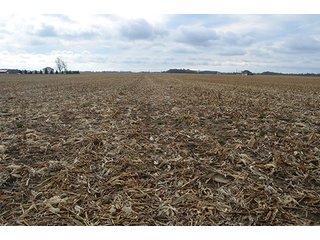 Property photo 14 - LAND AUCTION - 276.5+/- ACRES OFFERED IN 5 TRACTS IN EAST ALLEN COUNTY